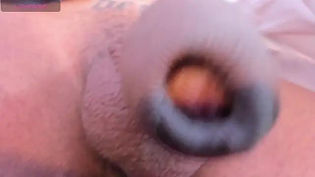 Snapshot of camii_raux chatting on March 2026 09:31:02 PM camii raux online show from March 2026 09:31:02 PM