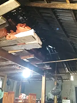 bibo-sex online show from November 2025 05:41:01 AM