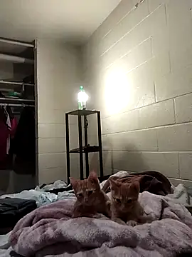 SITHANDRAH online show from December 2025 11:45:01 PM