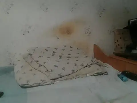 Snapshot of Kreol69 chatting on November 2025 04:51:02 PM Kreol69 online show from November 2025 04:51:02 PM