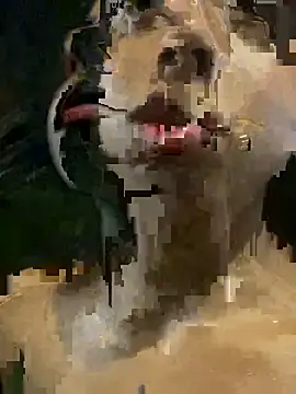 mara rosseX online show from November 2025 06:33:02 AM