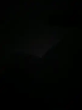 lanouvelle93 online show from May 2026 01:33:02 AM