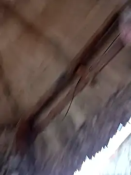 prototipoA45 online show from January 2026 10:26:01 PM