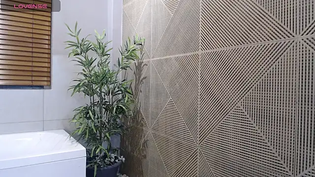 Noah dupont  online show from December 2025 11:49:02 AM