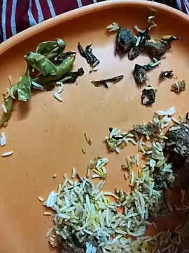 hyderabad single online show from March 2026 05:49:02 PM