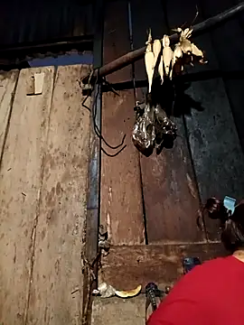 -Chua-90 online show from February 2026 11:12:01 PM