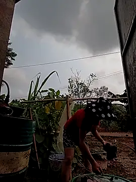 -Chua-90 online show from March 2026 03:32:01 AM