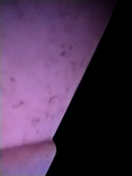 Snapshot of m-mbae chatting on February 2026 12:53:02 AM m-mbae online show from February 2026 12:53:02 AM