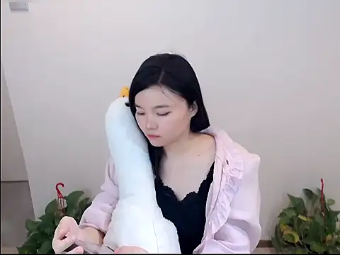 Shaurk online show from January 2026 08:18:01 AM