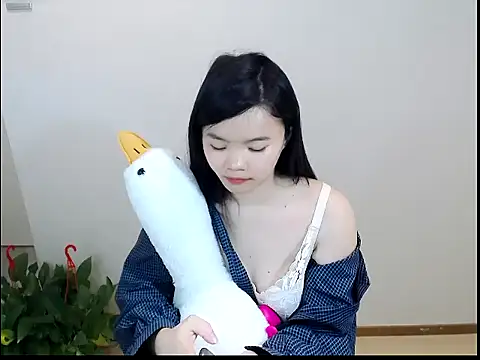 Shaurk online show from February 2026 03:49:01 AM