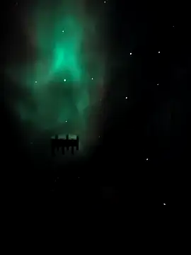 Snapshot of arcacsel chatting on November 2025 10:53:02 PM arcacsel online show from November 2025 10:53:02 PM