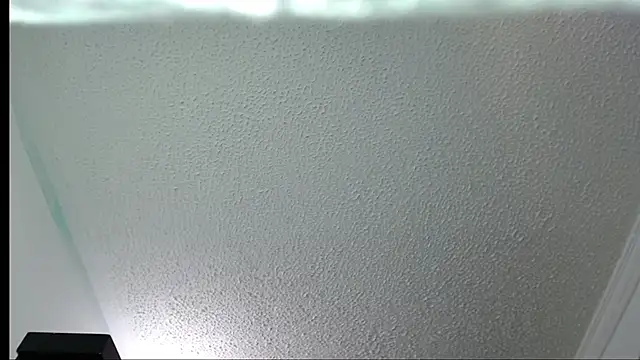 Little-rouse online show from November 2025 02:32:02 PM