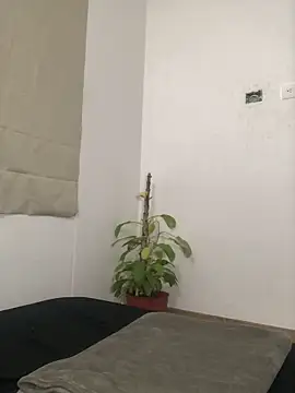 sebas-777masterr online show from February 2026 04:00:02 PM