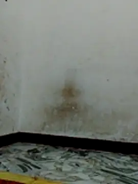 Bigg bhabi online show from January 2026 11:14:01 PM