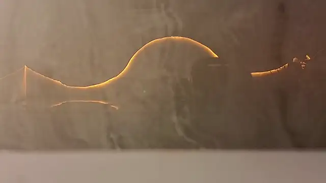 Snapshot of samy_tp chatting on December 2025 07:21:02 PM samy tp online show from December 2025 07:21:02 PM