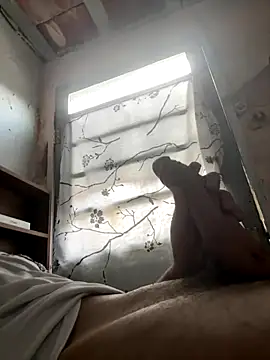 24 c online show from December 2025 11:04:01 AM