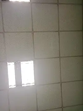 platone09 online show from January 2026 01:59:01 PM