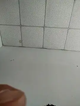 platone09 online show from April 2026 12:30:01 PM