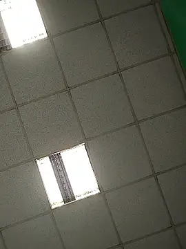 platone09 online show from April 2026 12:29:02 PM