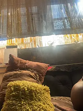 Motherbigbus online show from February 2026 06:44:02 PM