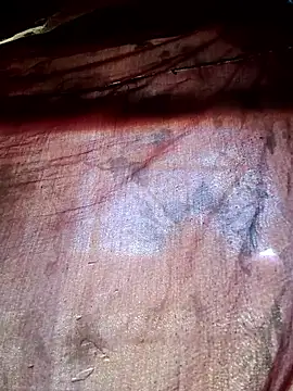 WizzyQ online show from February 2026 10:19:01 AM