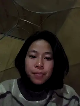 Cat-meow online show from November 2025 02:31:02 PM