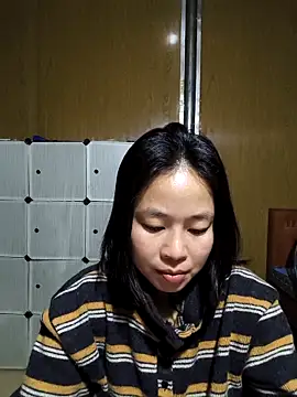 Cat-meow online show from February 2026 04:03:02 PM