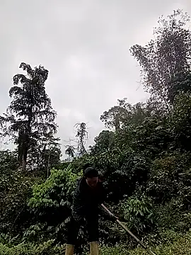 Snapshot of meomeo-00 chatting on March 2026 08:06:01 AM meomeo-00 online show from March 2026 08:06:01 AM