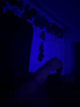 kingping87 online show from September 2025 10:08:02 AM