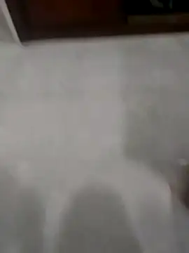 Zaginer online show from November 2025 10:31:02 PM