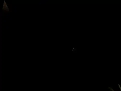 Snapshot of Savannah_Cock chatting on February 2026 01:03:01 AM Savannah Cock online show from February 2026 01:03:01 AM