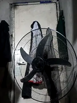 Sweet-Jhonna online show from December 2025 03:51:01 PM