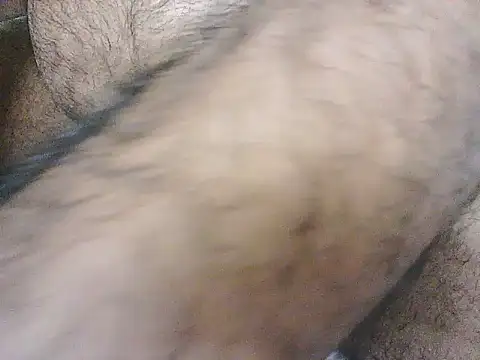 blue roy online show from December 2025 05:43:02 PM