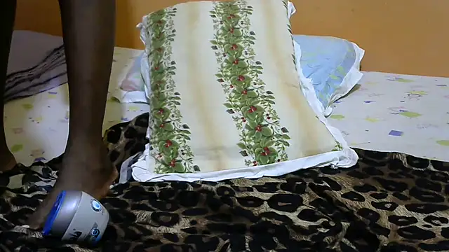 AssMatic- online show from February 2026 07:24:02 PM