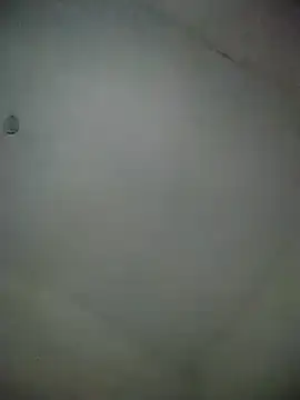 laperson online show from February 2026 11:21:01 AM