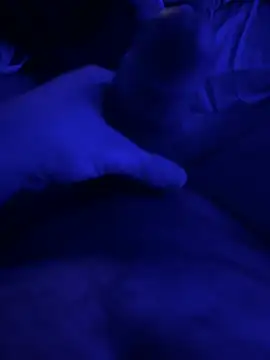 Snapshot of darknebula80 chatting on February 2026 11:56:01 PM darknebula80 online show from February 2026 11:56:01 PM