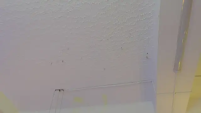 Snapshot of pucca7 chatting on May 2026 12:13:02 PM pucca7 online show from May 2026 12:13:02 PM