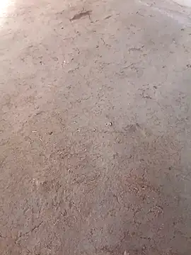 Nandani-758 online show from December 2025 10:09:02 AM