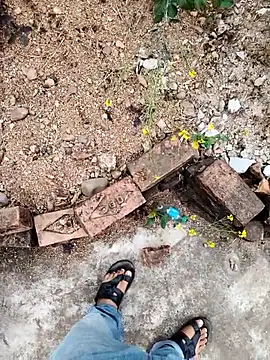 apka rockstarr online show from January 2026 06:37:02 AM