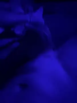 Tommy777B online show from February 2026 10:57:02 PM