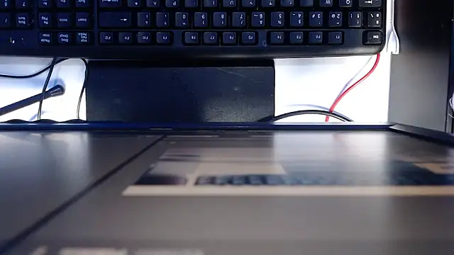 Snapshot of madisson_768 chatting on February 2026 01:20:01 PM madisson 768 online show from February 2026 01:20:01 PM