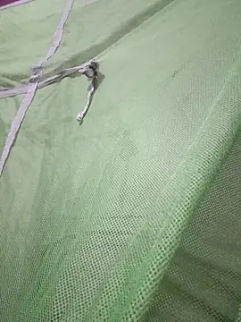 Daily lust online show from February 2026 07:03:02 PM