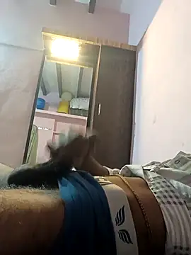 Karnataka-boy online show from March 2026 09:45:01 AM