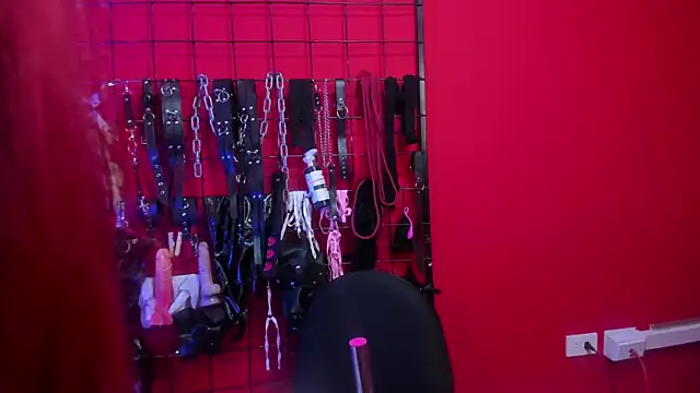 Snapshot of Venus_Bms_ chatting on February 2026 11:54:02 AM Venus Bms online show from February 2026 11:54:02 AM