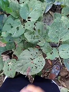 desi alpha boy online show from January 2026 01:54:02 AM