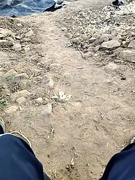 desi alpha boy online show from January 2026 11:36:02 AM