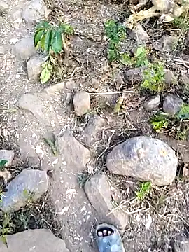 desi alpha boy online show from February 2026 01:48:02 AM