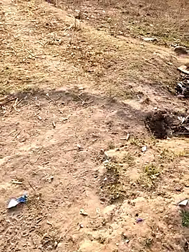 desi alpha boy online show from February 2026 02:06:02 AM