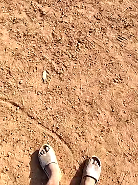 desi alpha boy online show from February 2026 02:48:01 AM