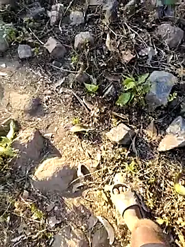 desi alpha boy online show from February 2026 02:04:02 AM